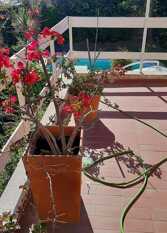 Foto 3 de la galería de Malbec225 en Ciudad De Mendoza