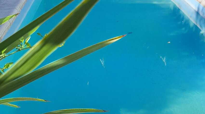 Foto principal de Malbec225 en Ciudad De Mendoza