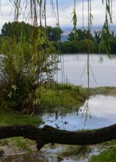 Foto 2 de la galería de Complejo de Cabañas Rincón Serrano en Mina Clavero