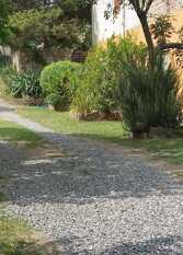Foto 2 de la galería de Complejo Jardin Escondido en Villa Icho Cruz