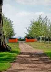 Foto 3 de la galería de La Sofia Casa De Campo en Dean Funes