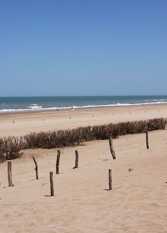 Foto 2 de la galería de Cabaña Nogoya en Mar Azul