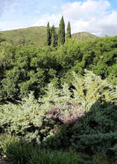 Foto 2 de la galería de El Espinillo en La Cumbre