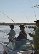 Foto 3 de la galería de Posada Hotel Las Rubias en Sauce Viejo