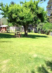 Foto 4 de Complejo Sumi en Santa Rosa De Calamuchita