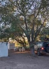 Foto 3 de la galería de dado de baja en Puelches