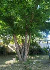 Foto 2 de la galería de casas de la Yaya en Villa Carlos Paz