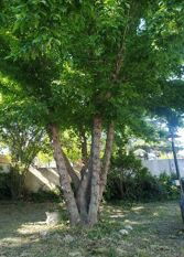 Foto 2 de la galería de casas de la Yaya en Villa Carlos Paz