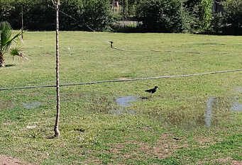 Foto 1 de la galería de Casa con piscina Nuestro Sueño en San Rafael