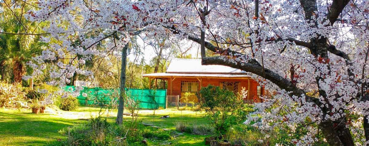 Foto principal de Cabaña de los colibríes en Ingeniero Maschwitz