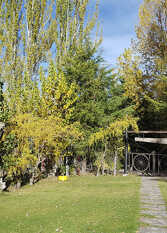 Foto 3 de la galería de Casa de Montaña Los Primos en Potrerillos
