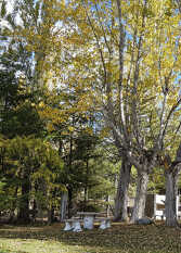 Foto 4 de Casa de Montaña Los Primos en Potrerillos