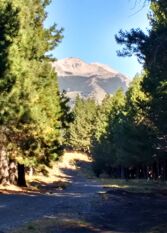 Foto 3 de la galería de Cabaña LASERENDIPIA en Junin De Los Andes