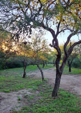 Foto 3 de la galería de La aurora, casita en el bosque en Villa De Merlo