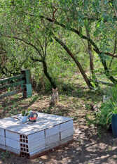 Foto 4 de La aurora, casita en el bosque en Villa De Merlo