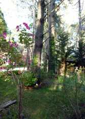 Foto 3 de la galería de Cabañas Los Claveles en Costa del Este