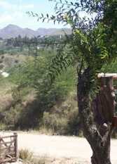 Foto 4 de Cabaña Cerro Blanco en Alpa Corral