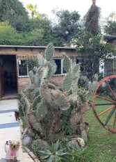 Foto 3 de la galería de Departamentos Leon en Termas De Rio Hondo