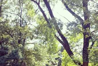 Foto 1 de la galería de lacasitadepiedra_cabana en Unquillo