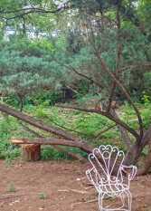 Foto 2 de la galería de lacasitadepiedra_cabana en Unquillo