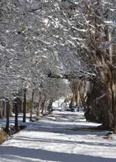 Foto 2 de la galería de Casa de montaña en el Valle de Uco en Tunuyan
