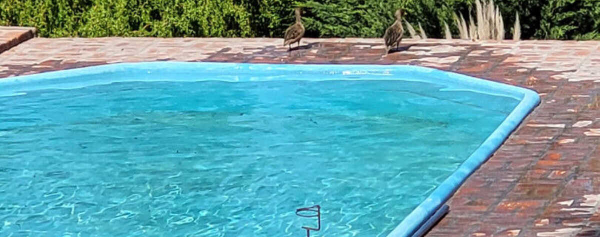 Foto principal de Quinta: "La Casa del Puente " en Tandil