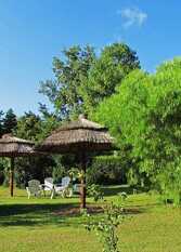 Foto 3 de la galería de El Quebracho Complejo de Cabañas en Santa Rosa De Calamuchita