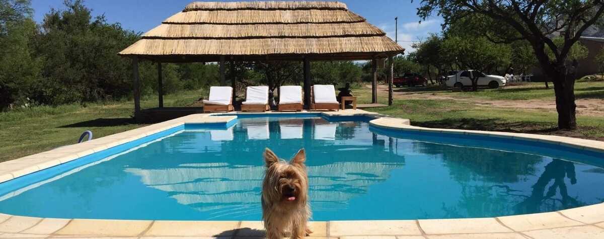 Foto principal de Cabañas Doña Eusebia en Cortaderas