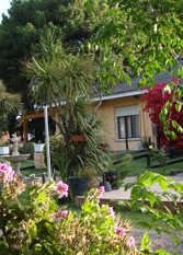 Foto 4 de Camping Cabañas El Gringo en Necochea