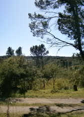 Foto 3 de la galería de Vacaciones en Belgrano VP en 16 De Julio