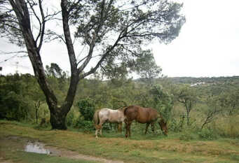 Foto 1 de la galería de Vacaciones en Belgrano VP en 16 De Julio