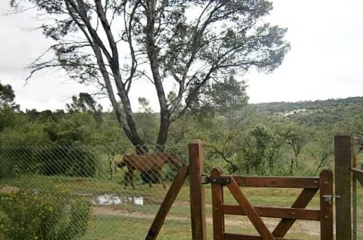 Foto principal de Vacaciones en Belgrano VP en 16 De Julio