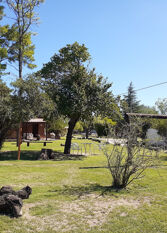 Foto 2 de la galería de Complejo La Morena en Mina Clavero