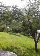 Foto 4 de Cabaña La Alquimia en La Granja