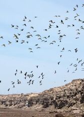 Foto 2 de la galería de Complejo Lavanda en Balneario El Condor