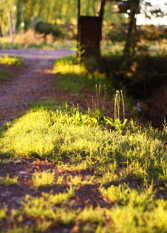 Foto 3 de la galería de Los Cedros en San Rafael