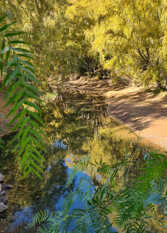 Foto 2 de la galería de Rio Azul Complejo de Cabañas en Valle Grande o Cañon del Atuel