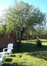 Foto 2 de la galería de Cabañas El Shaddai en Nono