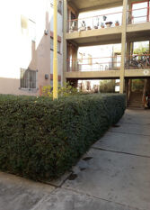 Foto 3 de la galería de Santa Lucía Departamento en Santa Lucia