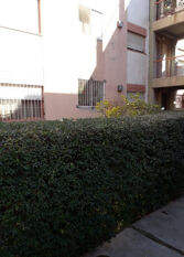 Foto 2 de la galería de Santa Lucía Departamento en Santa Lucia