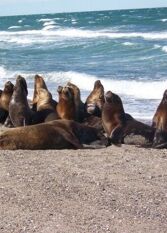 Foto 2 de la galería de Paraíso Escondido Complejo de Cabañas en San Antonio Este