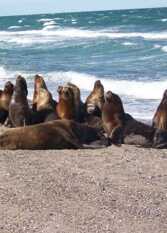 Foto 2 de la galería de Paraíso Escondido Complejo de Cabañas en San Antonio Este