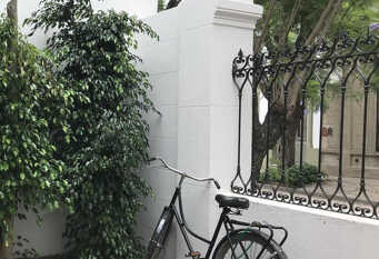 Foto 1 de la galería de El Jacarandá: “Relax” en el corazón de Chascomús en Chascomus