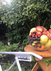 Foto 3 de la galería de El Jacarandá: “Relax” en el corazón de Chascomús en Chascomus