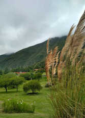 Foto 3 de la galería de Reposo entre montañas en Volcan