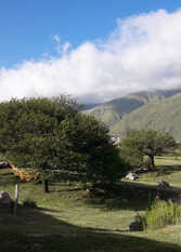 Foto 2 de la galería de Reposo entre montañas en Volcan