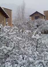 Foto 3 de la galería de Anta Tica Complejo de Cabañas en Villa De Merlo