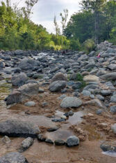 Foto 2 de la galería de Departamento El Tatu en Villa Los Aromos