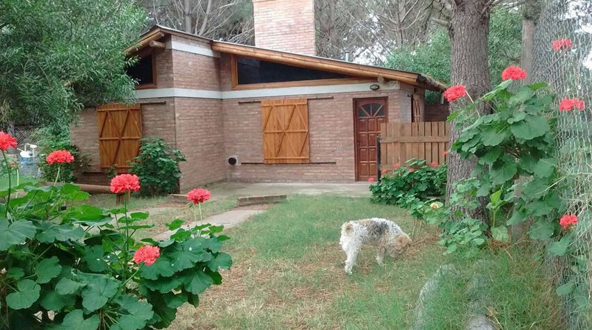 Foto principal de Cabañas El Pinar       -Alquiler-Cabañas - Casas en Monte Hermoso