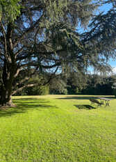 Foto 2 de la galería de Casa Quinta Las Lilas Alquiler Temporario en Tandil